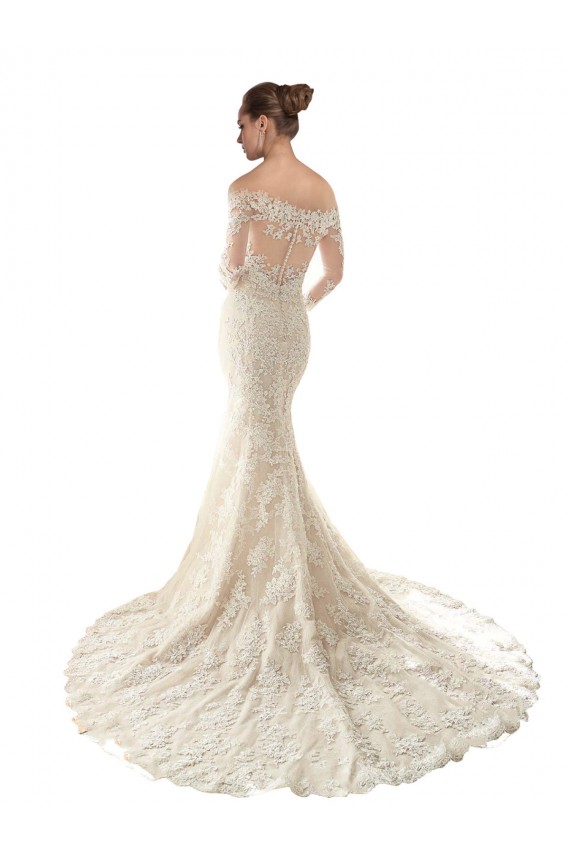 Off the Shoulder Chapel Train Tulle & Lace Ivory & Champagne Long Sleeves Wedding Dress Darwin