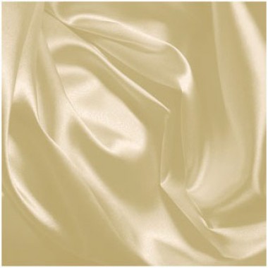 Silky Satin Swatch Darwin