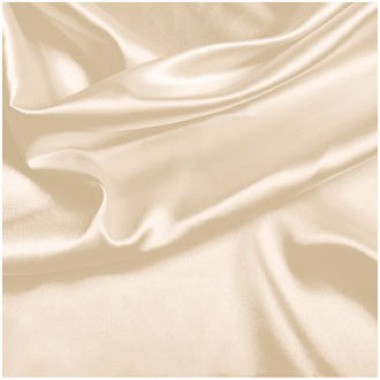 Stretch Satin Swatch Darwin